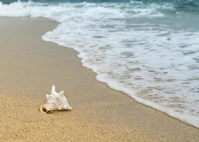 Saint-jean-de-monts Vue - Fr-1-652-63 * Saint-Jean-de-Monts